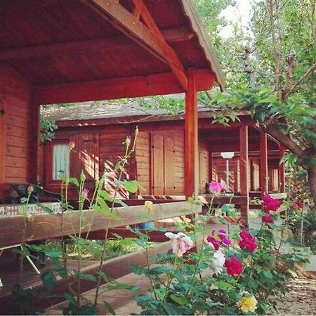 Bungalow & Camping Fuente De Regrustan 그라우스 외부 사진